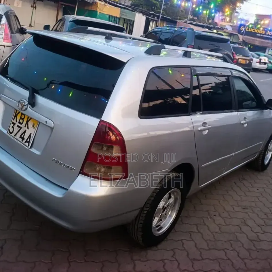 Toyota Corolla Fielder 2003 Silver