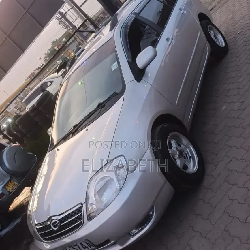 Toyota Corolla Fielder 2003 Silver