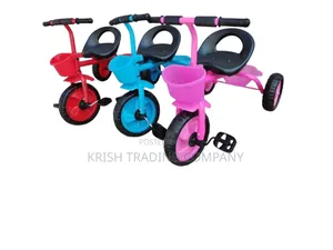 Kids Mini Tricycle