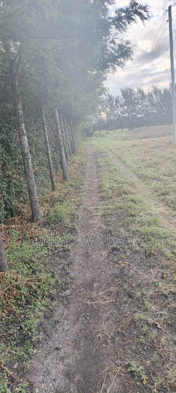 Land 5 Acres