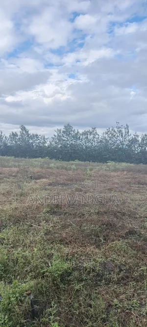 Land 5 Acres