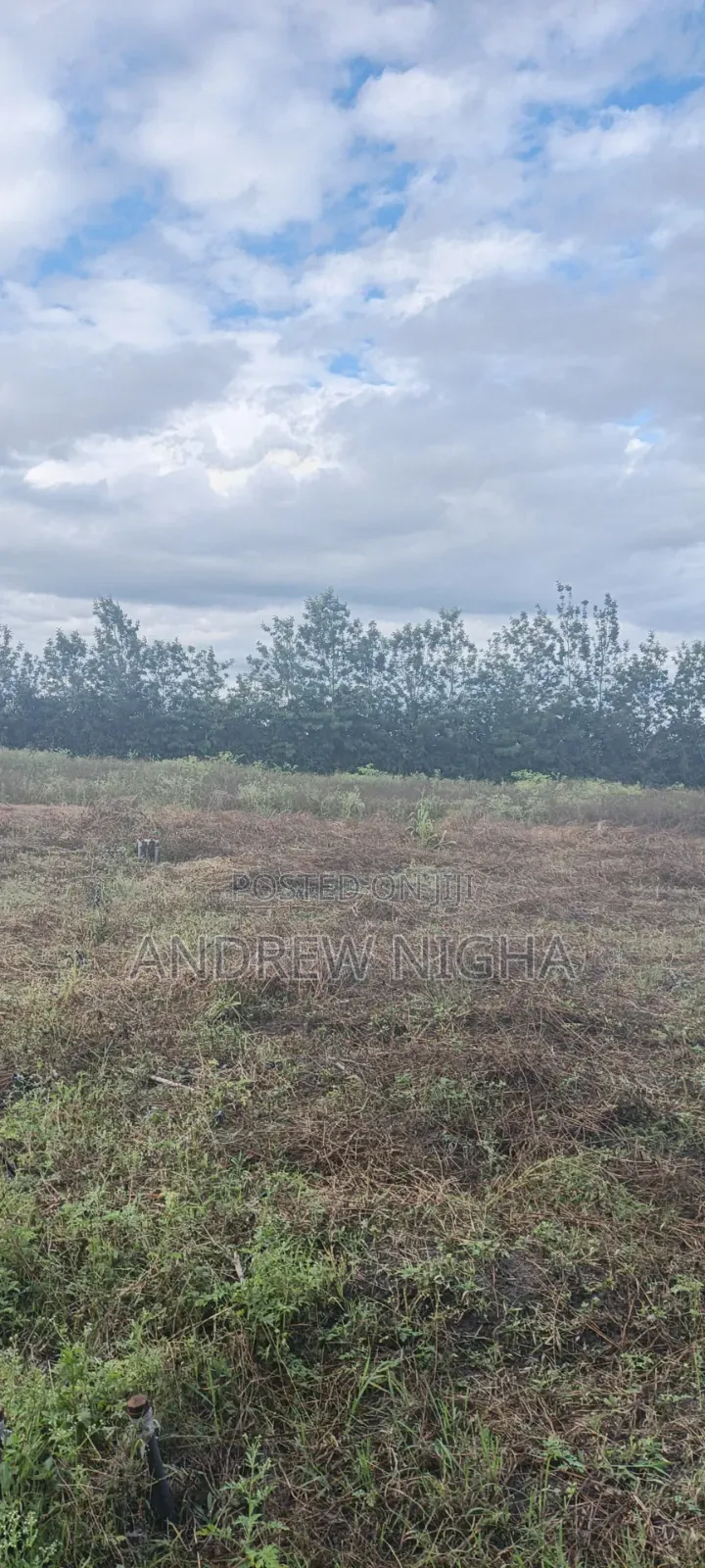 Land 5 Acres