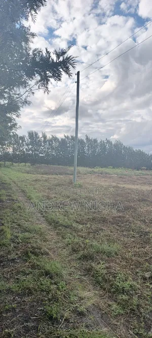 Land 5 Acres