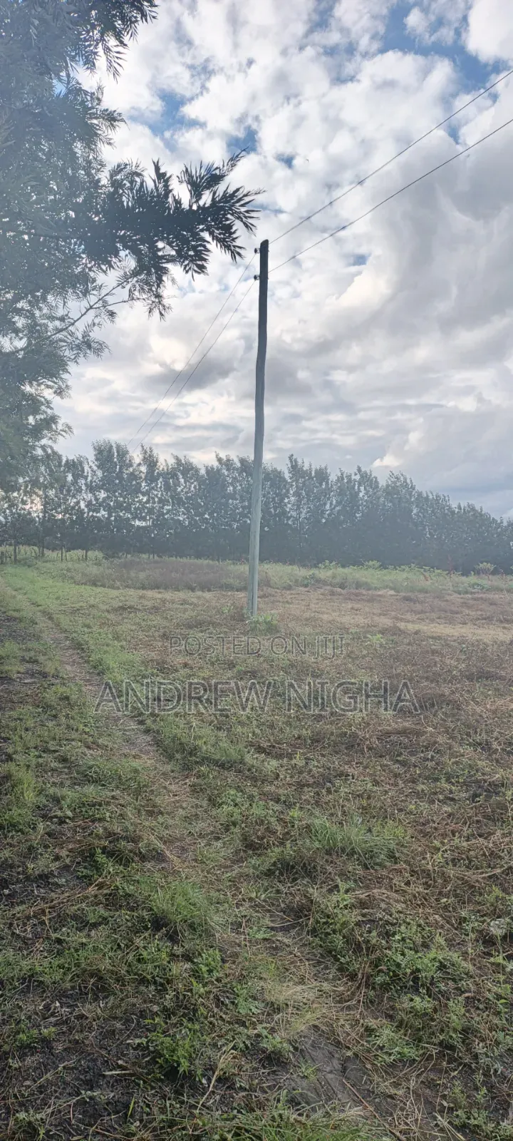 Land 5 Acres