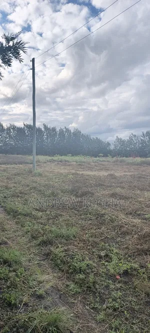 Land 5 Acres