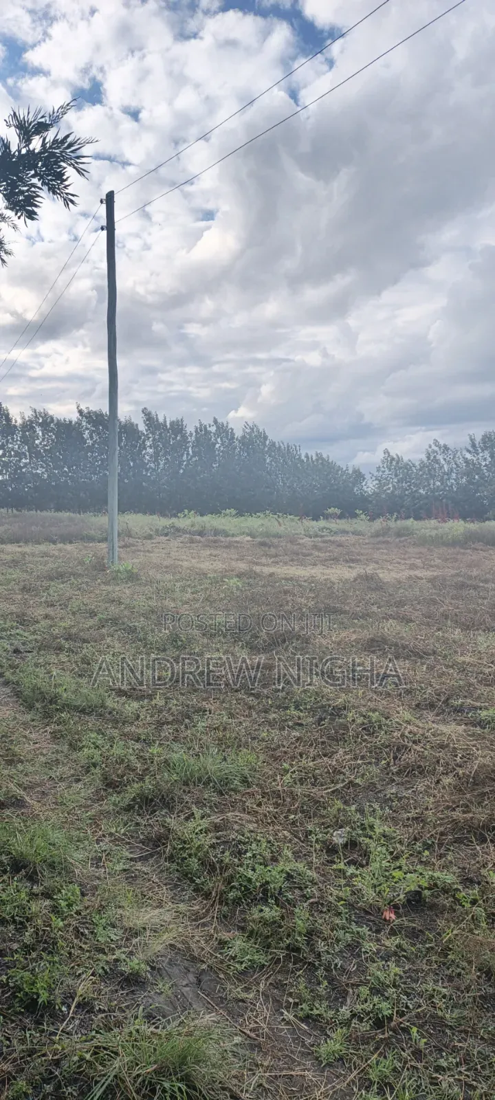 Land 5 Acres