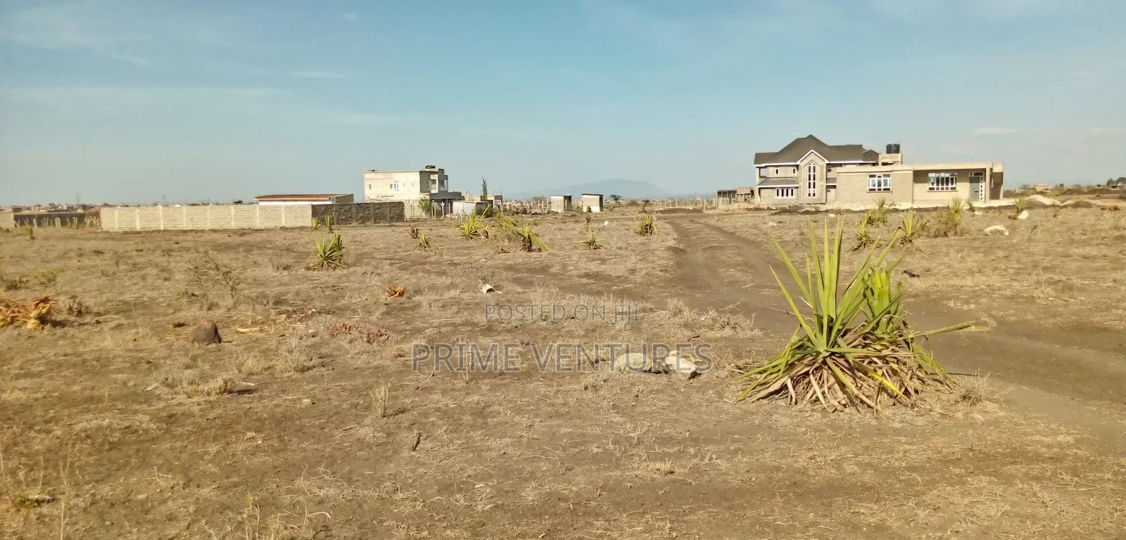 Prime Plot 50x100 in Katani Syokimau