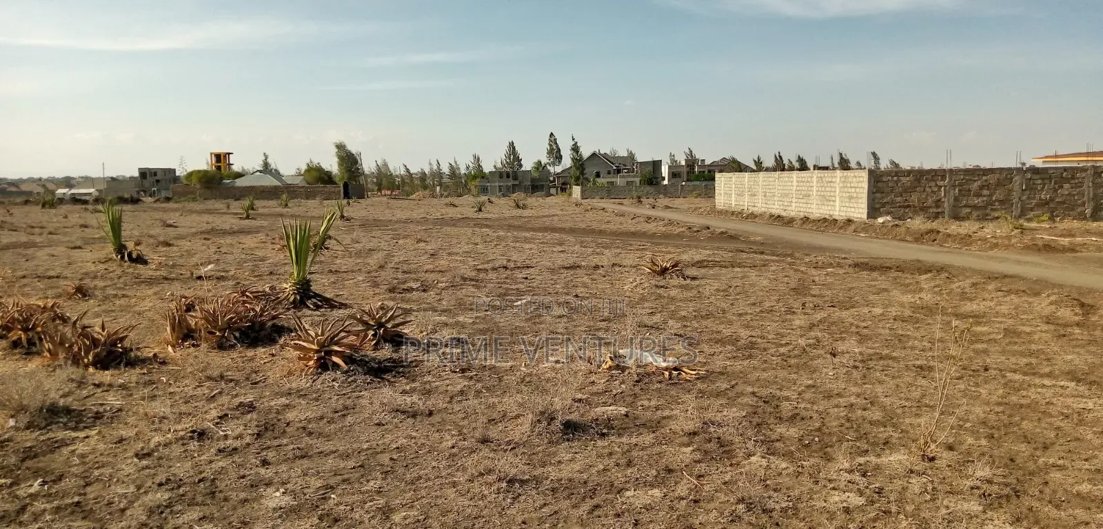 Prime Plot 50x100 in Katani Syokimau