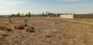 Prime Plot 50x100 in Katani Syokimau
