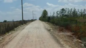 1/4 Acre on Sale in Isinya