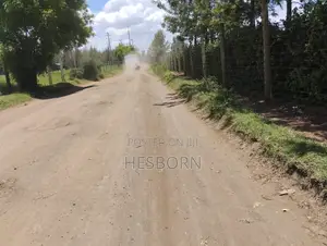 Prime 50 by 100 Plot Near Simba Cement Nakuru
