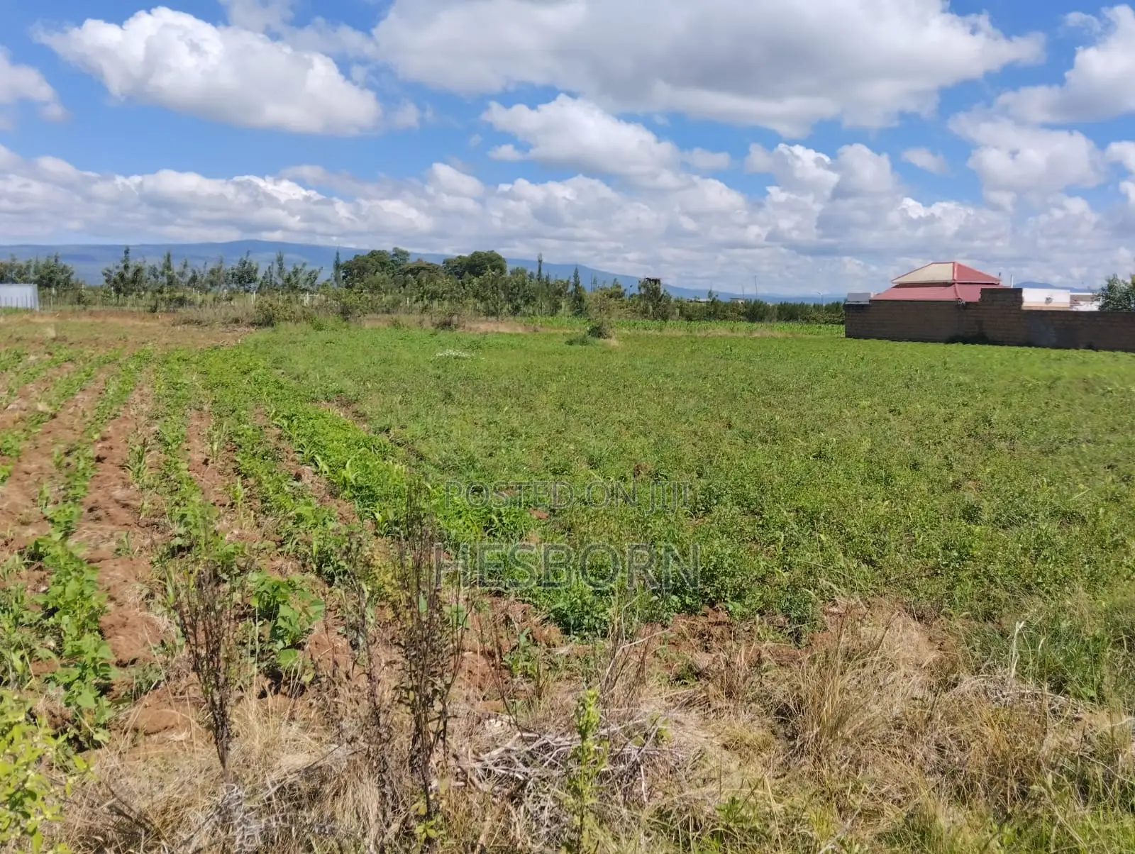 Prime 50 by 100 Plot Near Simba Cement Nakuru