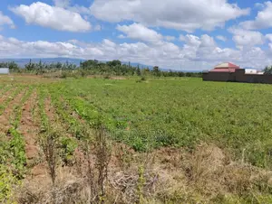 Prime 50 by 100 Plot Near Simba Cement Nakuru
