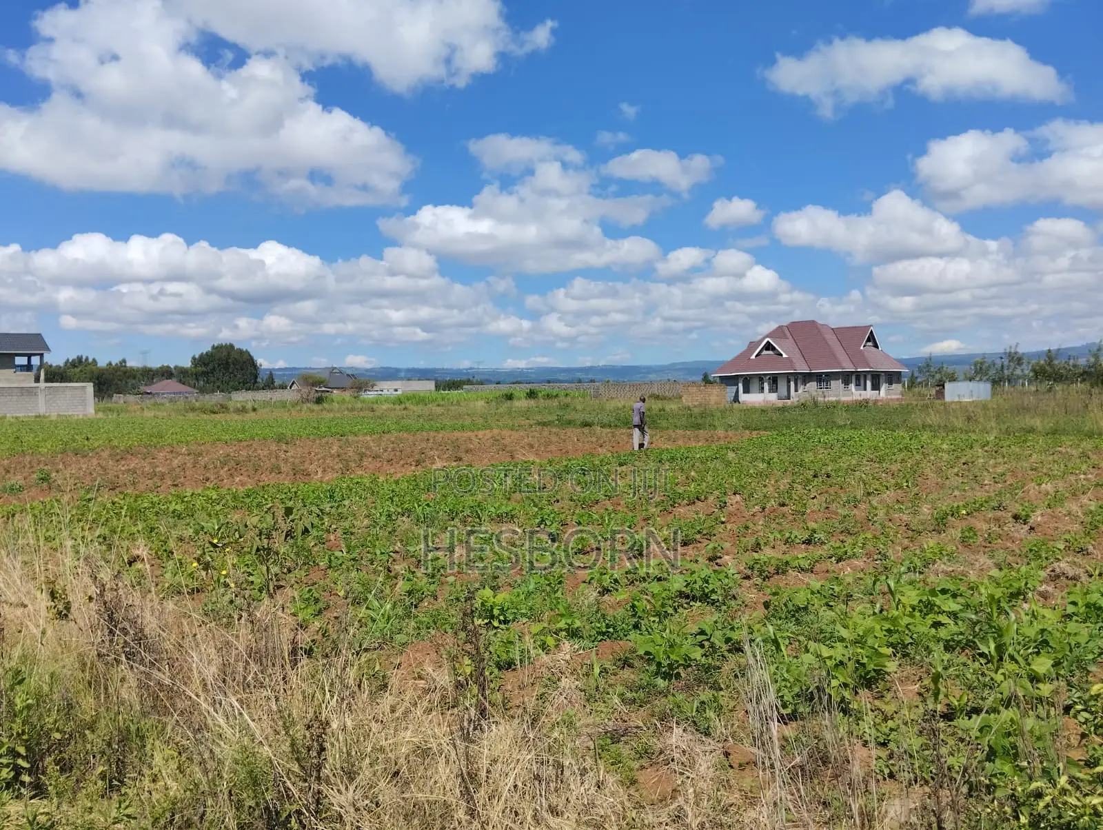 Prime 50 by 100 Plot Near Simba Cement Nakuru