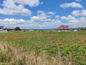 Prime 50 by 100 Plot Near Simba Cement Nakuru