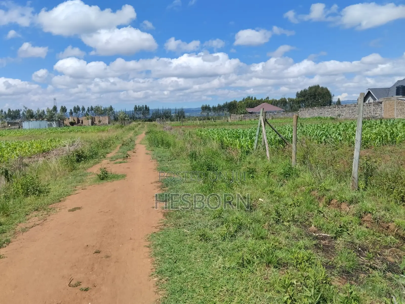 Prime 50 by 100 Plot Near Simba Cement Nakuru