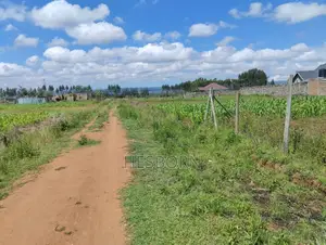 Prime 50 by 100 Plot Near Simba Cement Nakuru