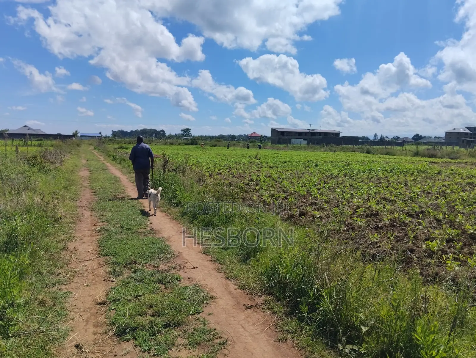 Prime 50 by 100 Plot Near Simba Cement Nakuru