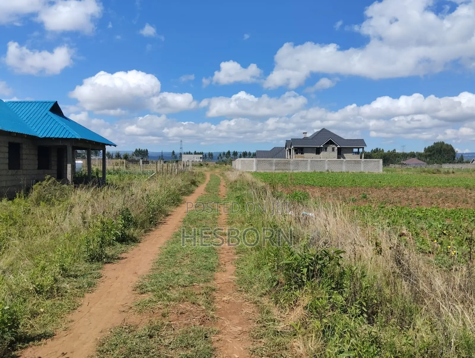 Prime 50 by 100 Plot Near Simba Cement Nakuru