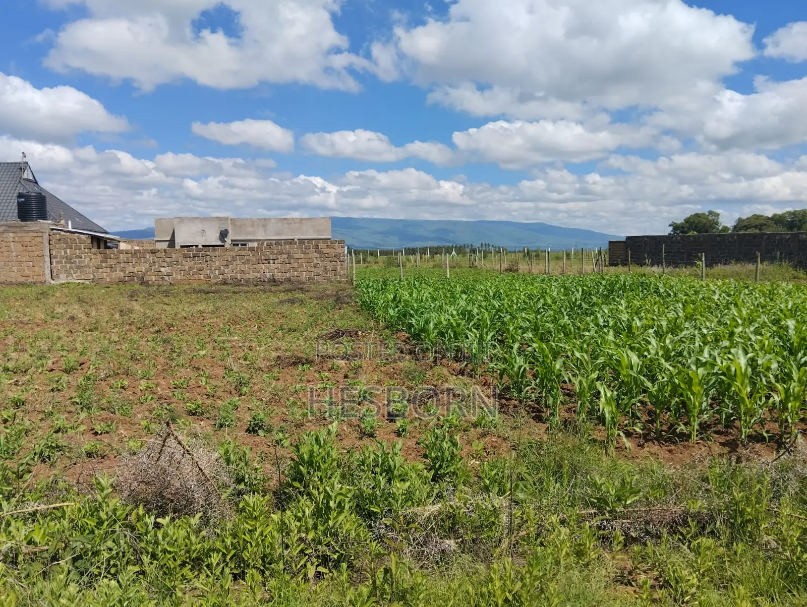 Prime 50 by 100 Plot Near Simba Cement Nakuru