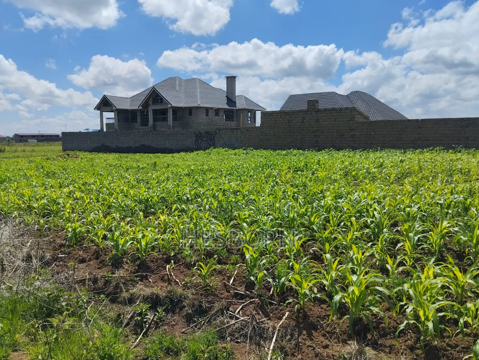Prime 50 by 100 Plot Near Simba Cement Nakuru