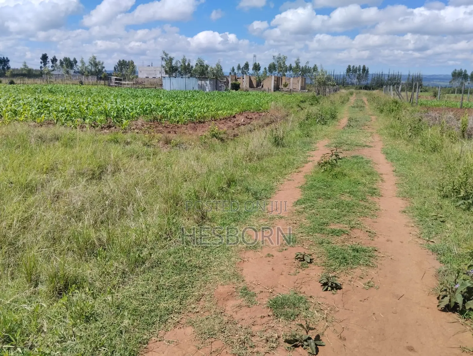Prime 50 by 100 Plot Near Simba Cement Nakuru