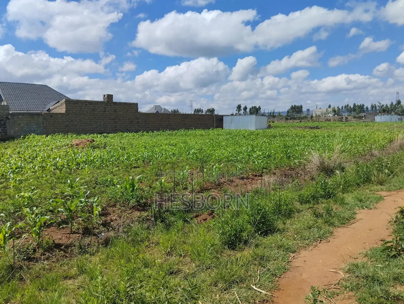 Prime 50 by 100 Plot Near Simba Cement Nakuru