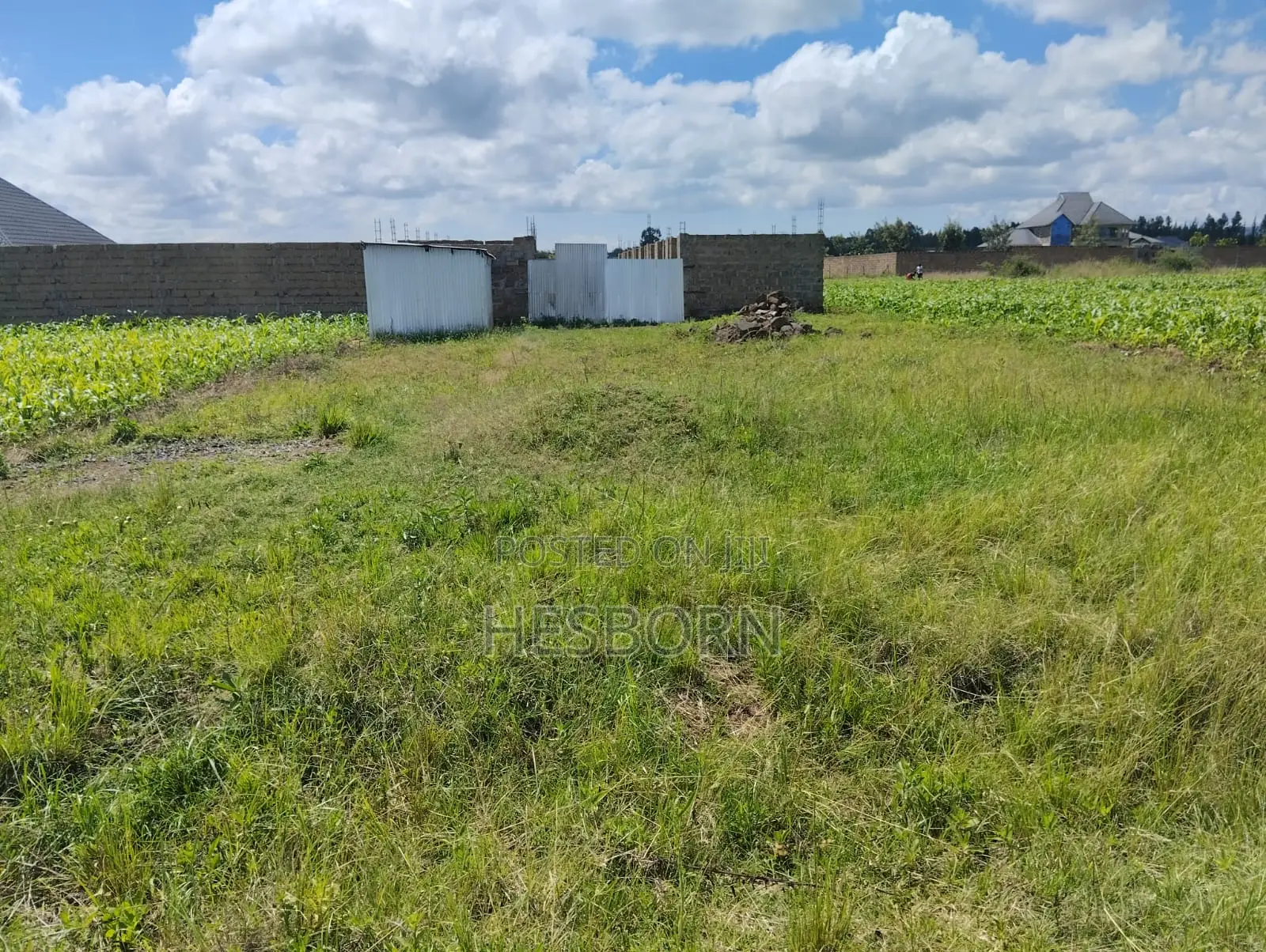 Prime 50 by 100 Plot Near Simba Cement Nakuru