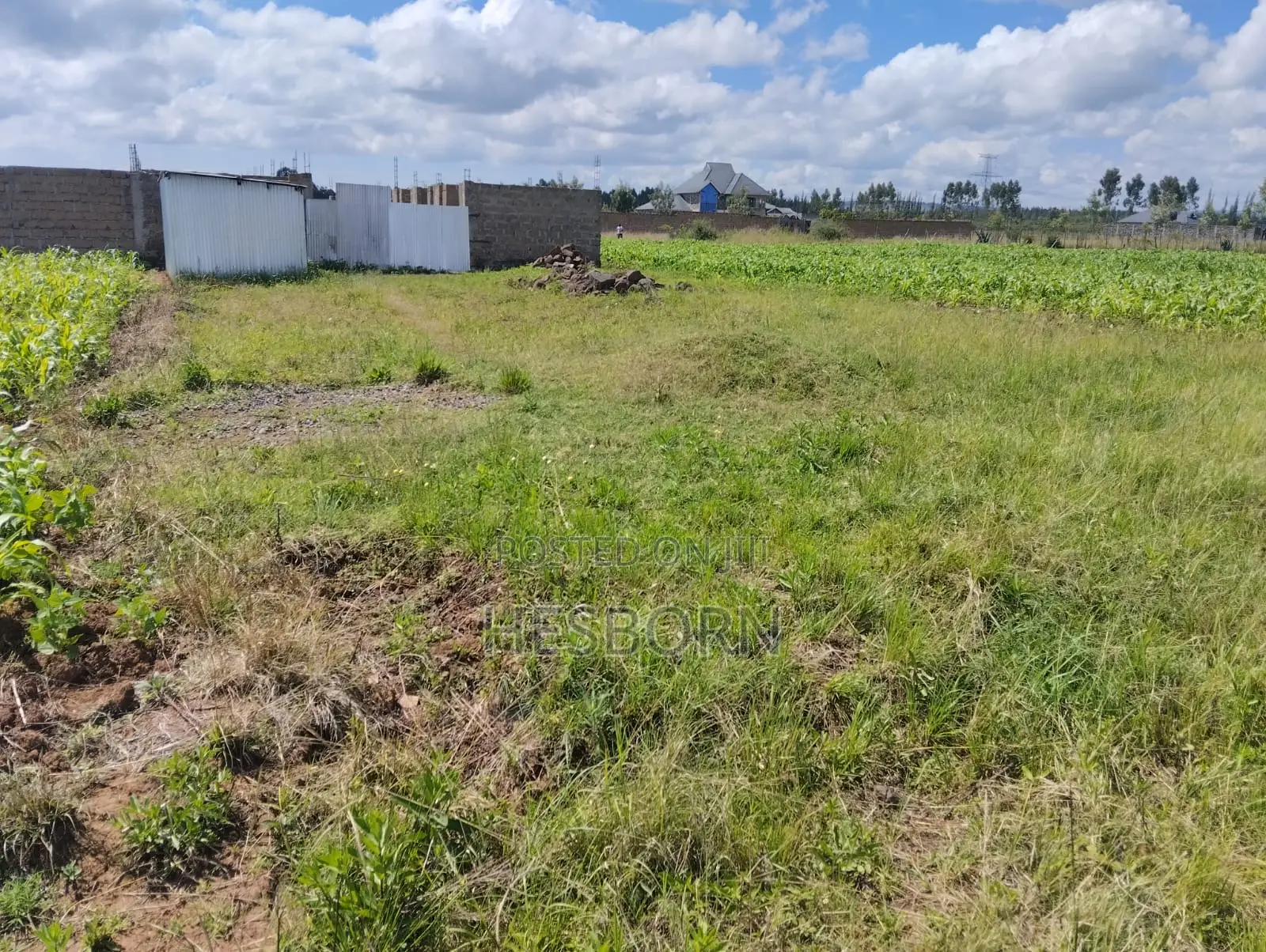 Prime 50 by 100 Plot Near Simba Cement Nakuru