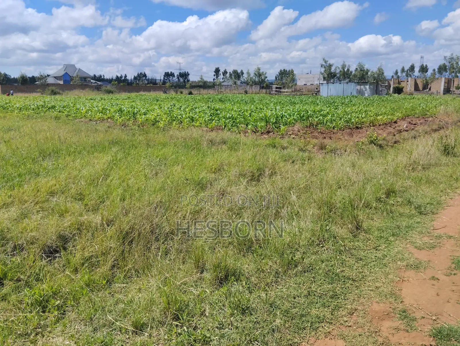 Prime 50 by 100 Plot Near Simba Cement Nakuru