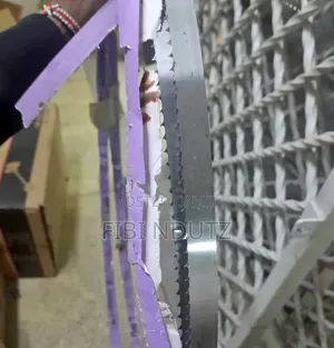 High Quality Bonesaw Blades/Bonesaw Blades