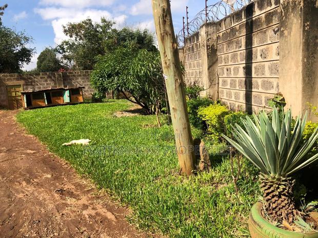 3bdrm Bungalow in Kimbo for sale - thumbnail 6