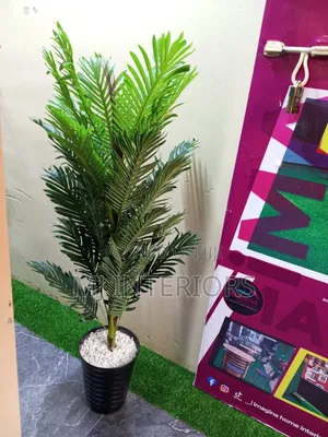 Tropical Green Palm Plant