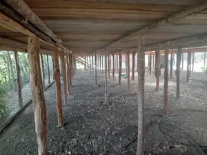 Poultry Farm for Lease