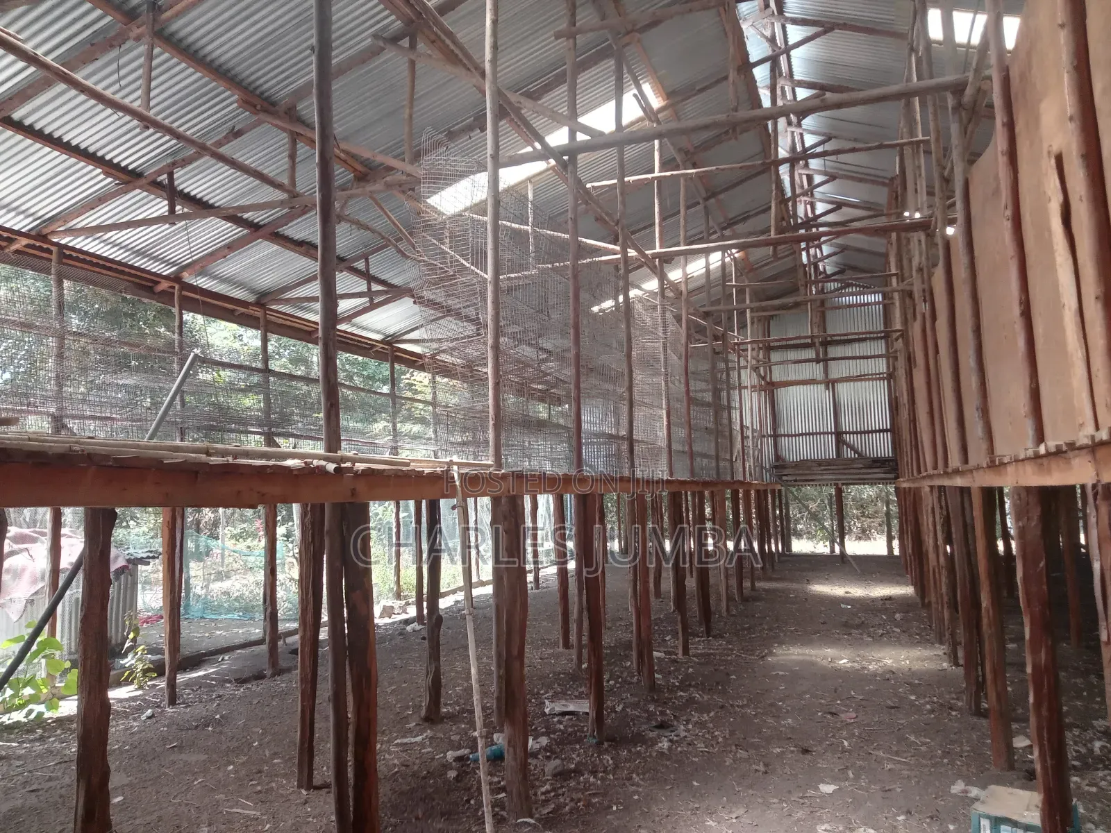 Poultry Farm for Lease