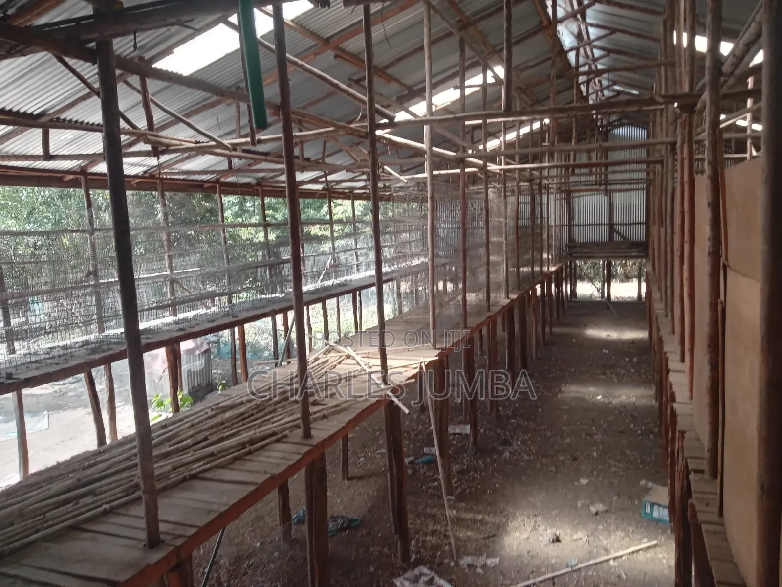 Poultry Farm for Lease
