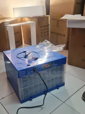 128 Eggs Ac/Dc Incubator