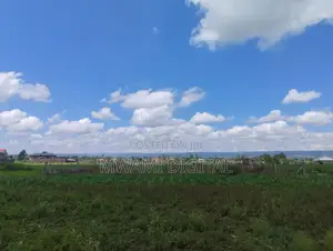Prime 50 by 100 Plot Near Simba Cement Nakuru