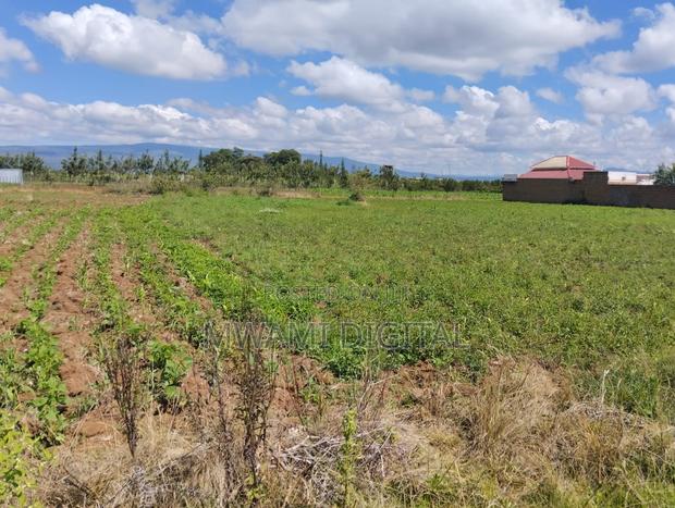 Prime 50 by 100 Plot Near Simba Cement Nakuru - thumbnail 5