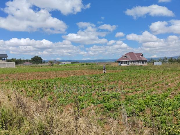 Prime 50 by 100 Plot Near Simba Cement Nakuru - thumbnail 7