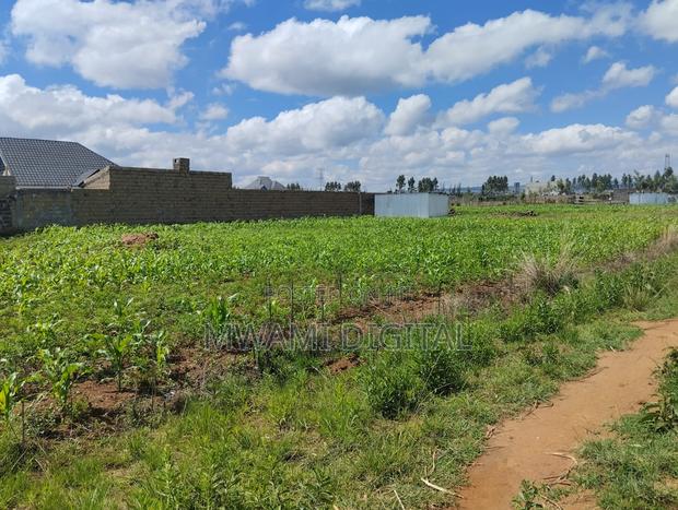 Prime 50 by 100 Plot Near Simba Cement Nakuru - thumbnail 12