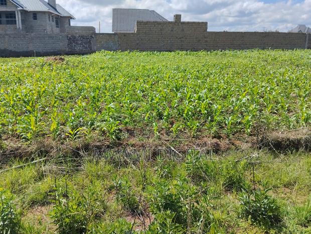 Prime 50 by 100 Plot Near Simba Cement Nakuru - thumbnail 14