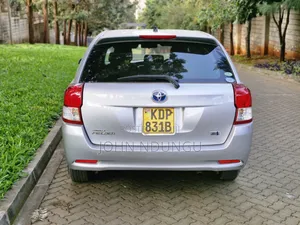 Toyota Corolla Fielder 2017 Silver