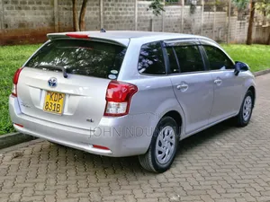 Toyota Corolla Fielder 2017 Silver