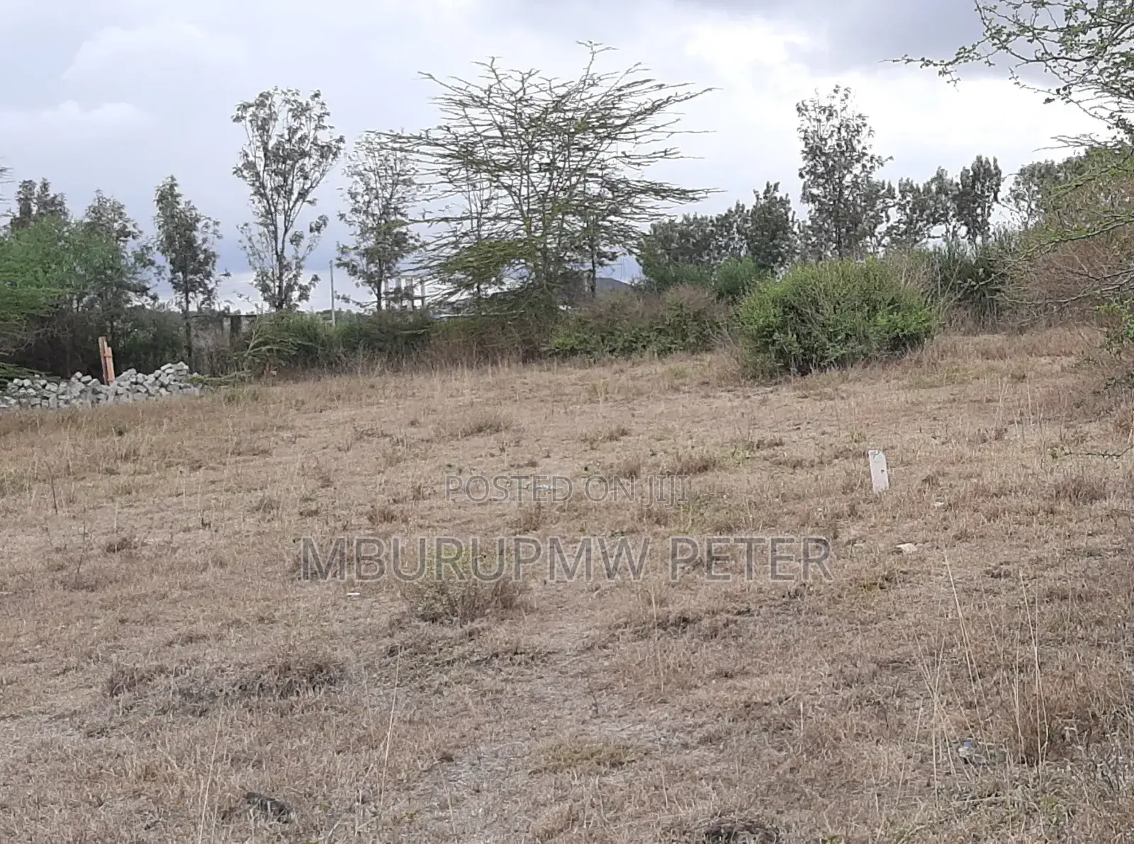 50x100-Plot for Sale