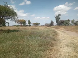 Prime 20 Acres in Kisaju