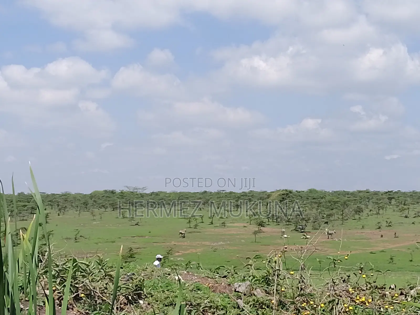Prime Commercial Plot For Sale In Utawala