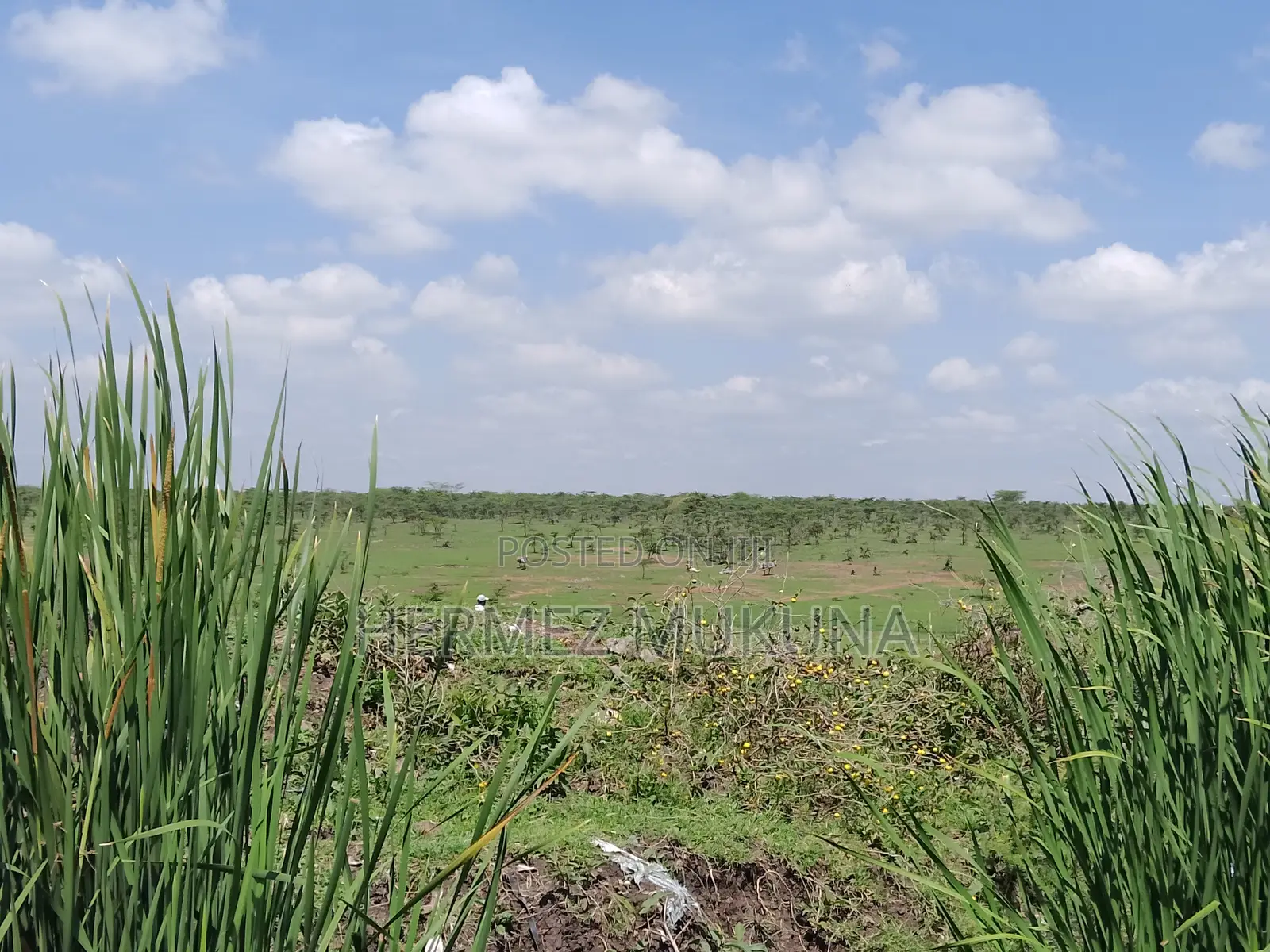 Prime Commercial Plot For Sale In Utawala