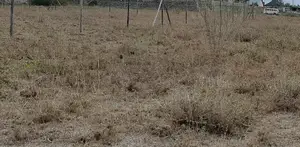 50x100-Plot for Sale