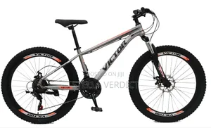 Size 26 Victory Bicycle